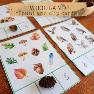 Woodland Count and Clip Cards for Toddlers and Preschoolers | Numbers 1-10 Learning Activity |  Counting Flashcards |  Nature study