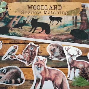 May include: Woodland Shadow Matching game with images of a fox, owl, deer, hedgehog, raccoon, squirrel, woodpecker, and rabbit. The game includes a large card with silhouettes of the animals.