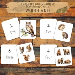 Op de afbeelding: Een set met nummer-matching-kaarten met een thema van bosdieren. De kaarten bevatten een nummer, het woord voor het nummer en een afbeelding van het dier. De dieren omvatten een uil, egels, eekhoorns en beren.