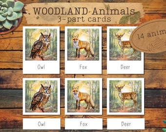 Waldtiere 3-teilige Nomenklaturkarten | Polaroid-Stil Aquarell Montessori Karteikarten | Passende Karten für Homeschool oder Vorschule