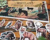 Woodland Shadow Matching Activity | Montessori Educational Game | Forest Animal Silhouettes | Preschool Matching Activity | Toddler activity