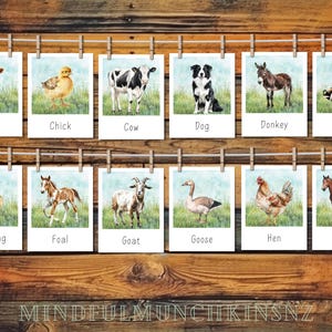 Farm Animals 3-part Nomenclature Cards | Polaroid-style and Watercolour ...
