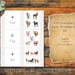 Farm Animals Numbers and Quantity Matching Cards (1-10) | Educational ...