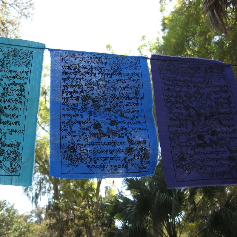 Rainbow Colors 12x9 7 flags Tibetan Wind Horse Prayer Flags image 5