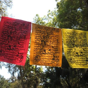 Rainbow Colors 12x9 7 flags Tibetan Wind Horse Prayer Flags image 3