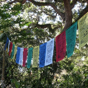 May include: A string of colorful prayer flags with Tibetan script hanging from a tree branch. The flags are red, blue, yellow, green, and white.