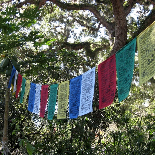 Silkscreened Tibetan Prayer Flags - string of 15