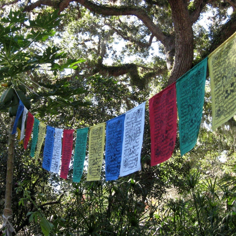 Silkscreened Tibetan Prayer Flags string of 15 image 1