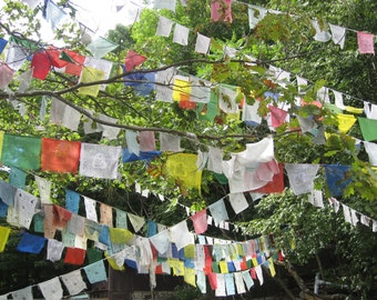 Field of Prayer Flags at KTD Monastery / 8.5 x 11  photograph