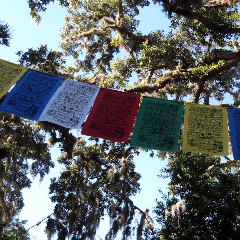 Silkscreened Tibetan Prayer Flags string of 15 image 5