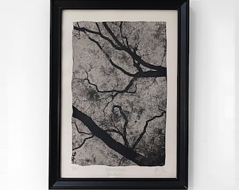 Network - Black, original cyanotype print