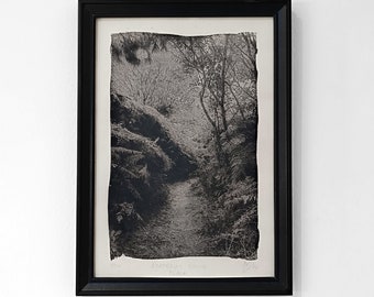 Azkorriko Basoa - Black, original cyanotype print