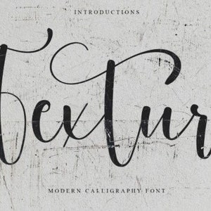 Texture Font, Handwritten Font, Wedding Font, Modern Font, Display Font, Cricut Font, Farmhouse Fonts, Rustic Fonts, Country Font