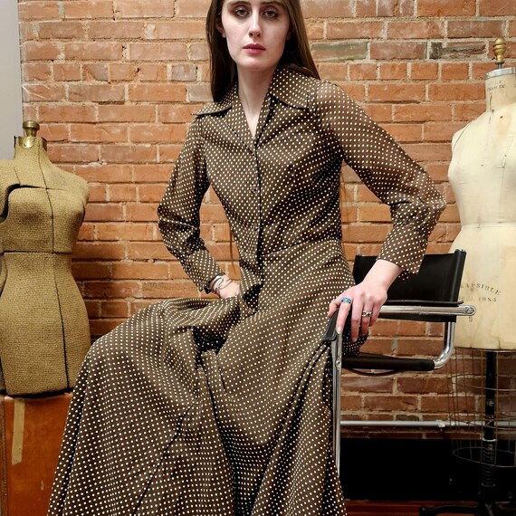 swiss dot maxi dress 70s Swiss Dot Maxi Dress in Brown