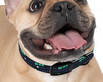 Lewis Hamilton Formula One Collar: Gear Up Your Pup for the Race! Mercedes Dog Collar