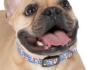 Max Verstappen Formula One Collar: Gear Up Your Pup for the Race! Red Bull Dog Collar