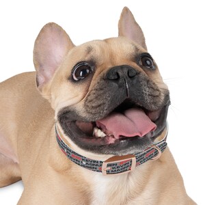 Kevin Magnussen Formula One Collar: Gear Up Your Pup for the Race! Haas Dog Collar image 4