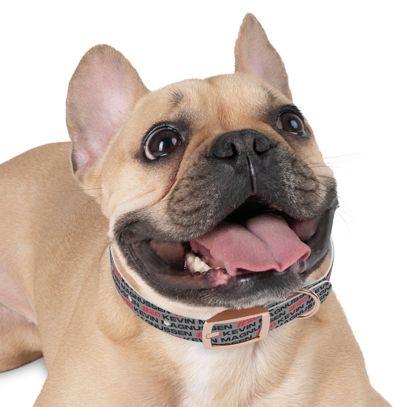 Kevin Magnussen Formula One Collar: Gear Up Your Pup for the Race! Haas Dog Collar image 4