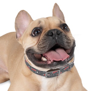 Kevin Magnussen Formula One Collar: Gear Up Your Pup for the Race! Haas Dog Collar image 3