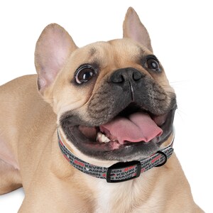 Kevin Magnussen Formula One Collar: Gear Up Your Pup for the Race! Haas Dog Collar image 2