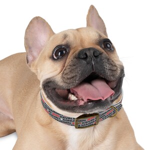 Kevin Magnussen Formula One Collar: Gear Up Your Pup for the Race! Haas Dog Collar image 5