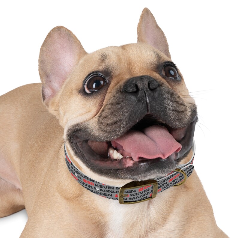 Kevin Magnussen Formula One Collar: Gear Up Your Pup for the Race! Haas Dog Collar image 5
