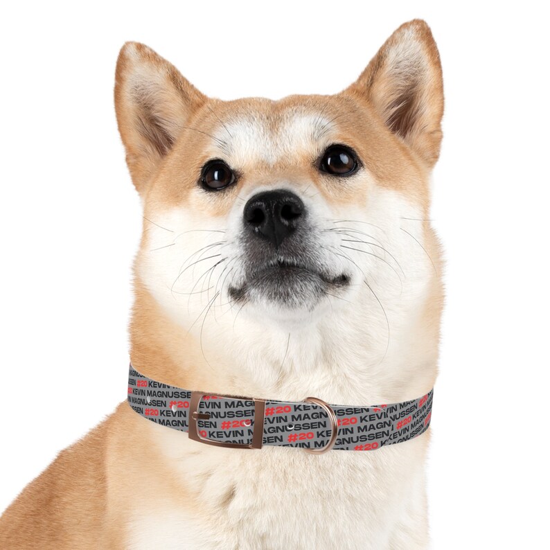 Kevin Magnussen Formula One Collar: Gear Up Your Pup for the Race! Haas Dog Collar image 7