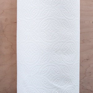 wall mounted steel paper towel dispenser