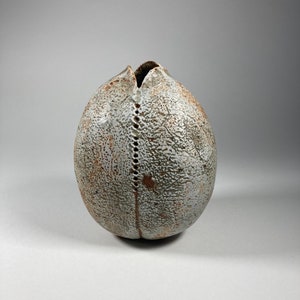 Könnte beinhalten: Eine ovale Keramikvase mit strukturierter Oberfläche und geteilter Oberseite. Die Vase ist überwiegend cremefarben mit braunen Akzenten, und eine Reihe kleiner Löcher verläuft durch die Mitte. Die Öffnung oben ist dunkel und bildet einen Kontrast zum helleren Körper.
