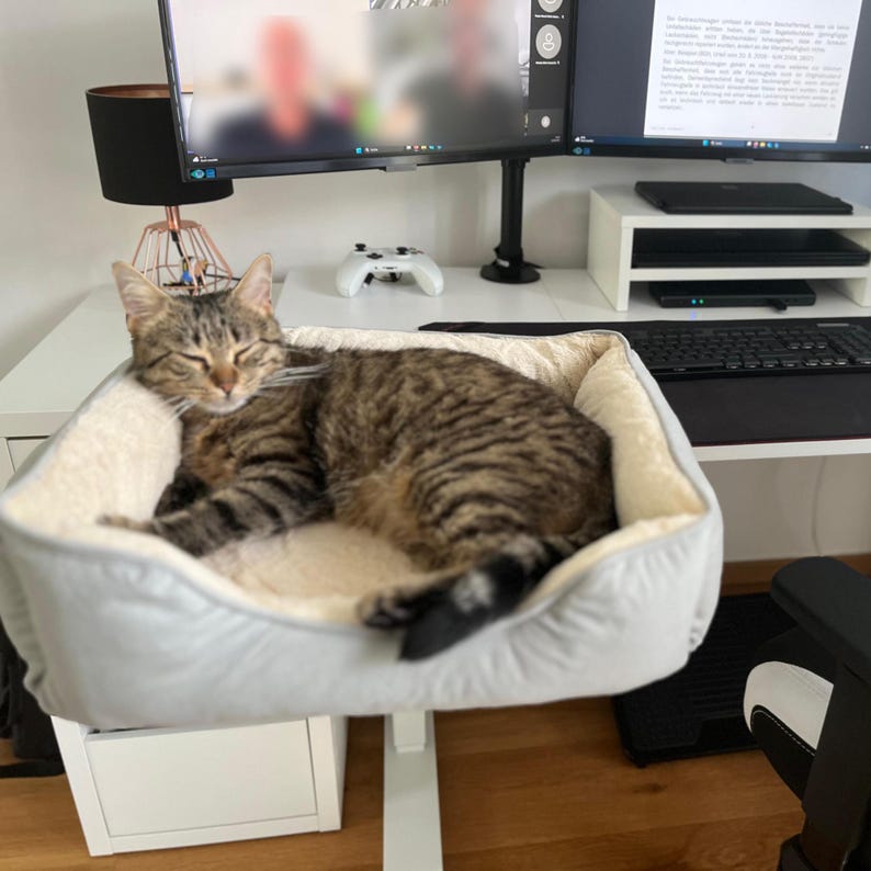 May include: A tabby cat resting in a light gray pet bed with a cream-colored interior. The cat is brown and black with stripes. The bed is on a white desk, with a computer monitor and other office equipment in the background.