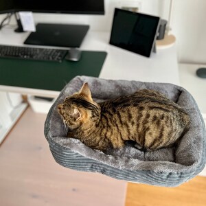 Katzenbett für den Schreibtisch zum anschrauben klappbar flexibel waschbar Katzenkorb Katzenkörbchen cat bed cat desk bed Bild 8