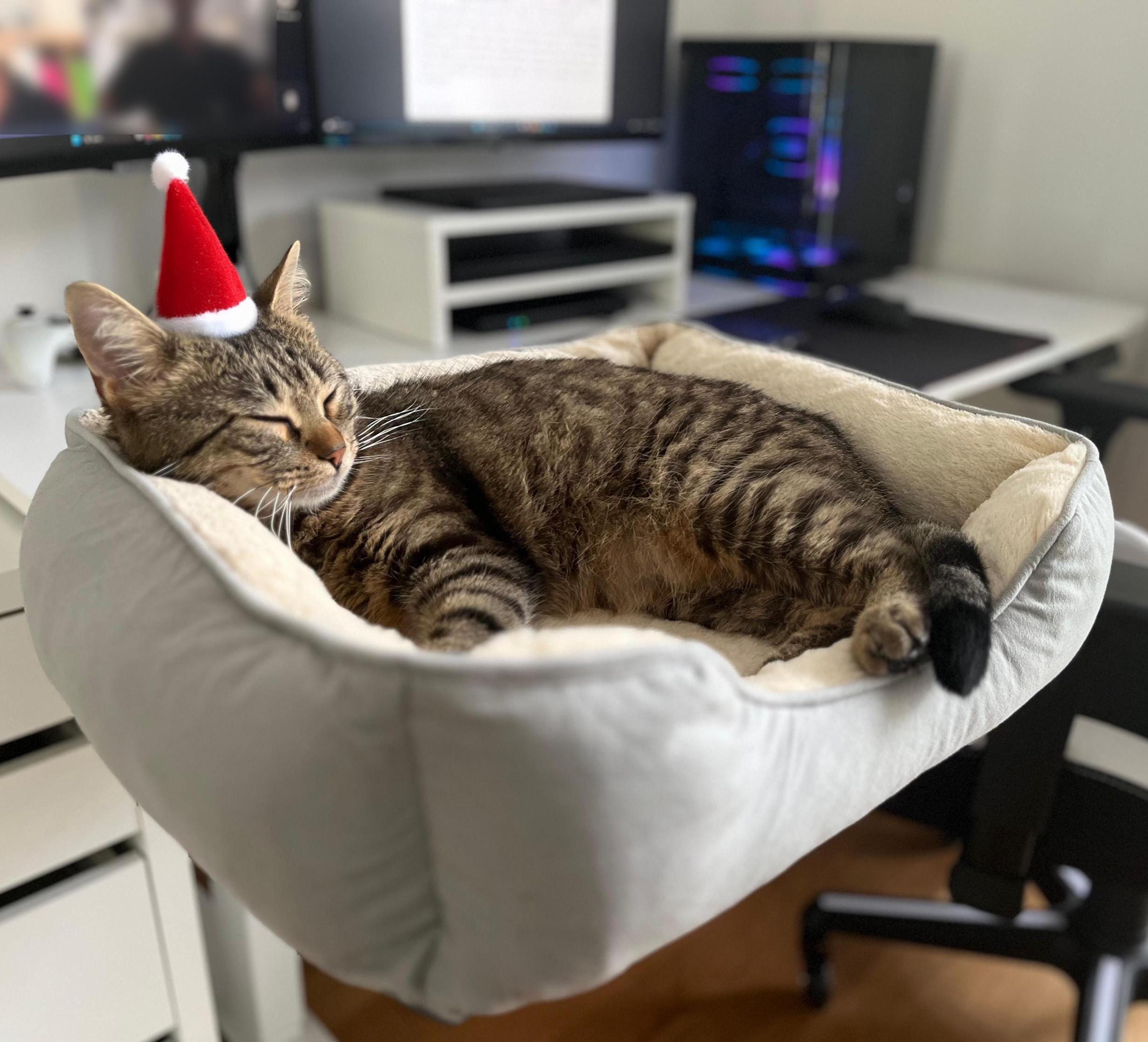 Lit De Bureau Pour Chat - Hamac Rotatif 360°, Hauteur Réglable, Sans Perçage - Pour Intérieur Et Voyage