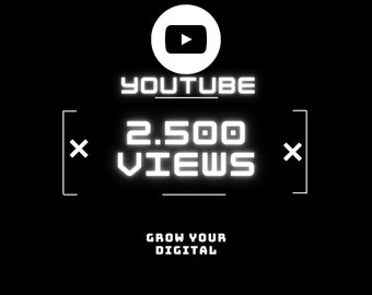 Youtube 2.500 Vistas, ENTREGA RÁPIDA, Alta Calidad, Lo mejor de la industria