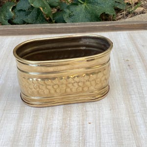 May include: An oval brass planter with a textured, dotted pattern on the sides. The planter has a smooth rim and base. It is displayed on a light-coloured wooden surface. The design is simple and elegant, suitable for various plants.