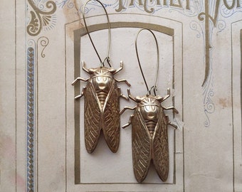 Cicada Earrings - golden brass bugs