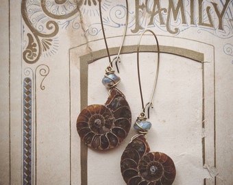 Ammonite earrings