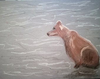 The Thinker - Brown Bears of Katmai