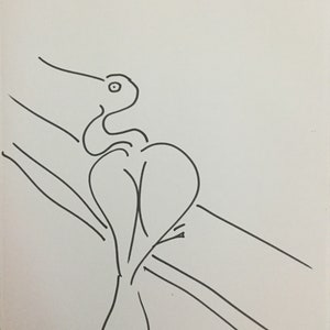 Peut inclure: Un dessin au trait simple d'un oiseau perché sur une branche. L'oiseau est tourné vers la droite et a un long bec fin. La branche est dessinée avec deux lignes parallèles.