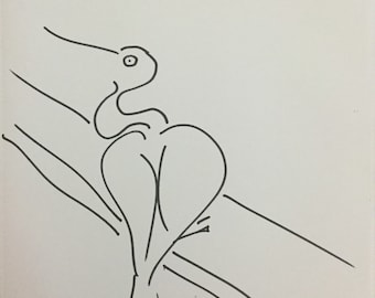 Anhinga on a branch original drawing 9 X 12