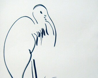 Wood Stork Original Ink Drawing 11 in X 14 in