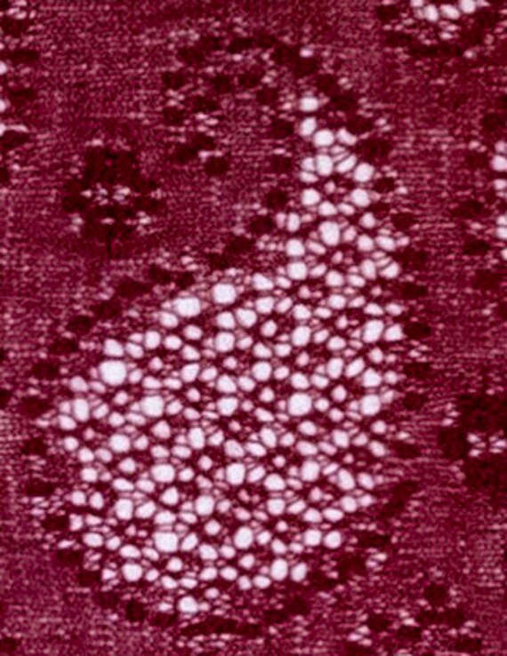 Paisley 2.0 Shawl Lace Knitting Pattern -  Canada