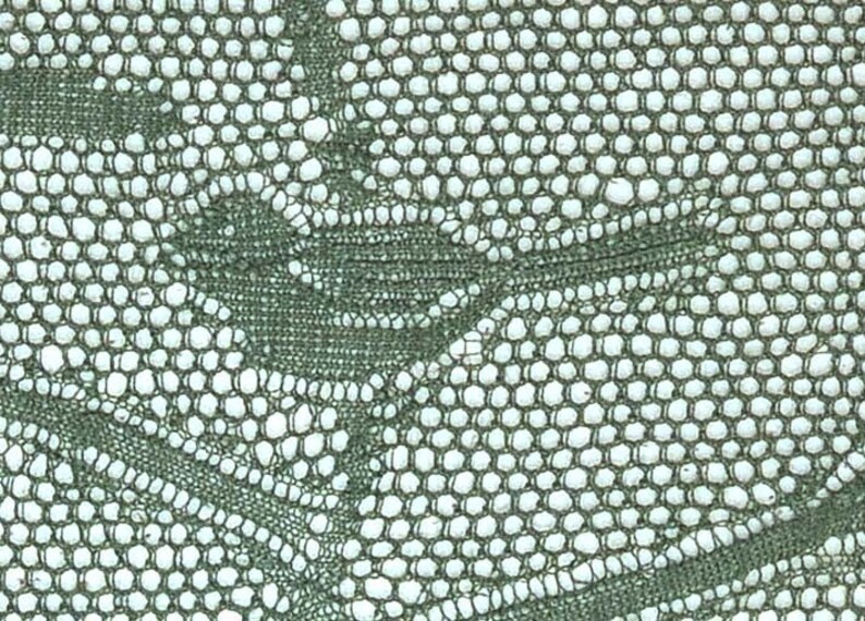 Pode incluir: Close-up de um tecido verde com um padr&atilde;o tecido de pequenos c&iacute;rculos. O tecido tem uma apar&ecirc;ncia delicada e de renda.