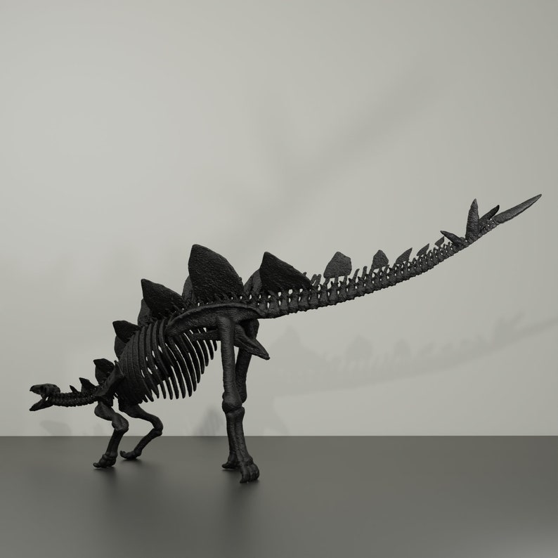 Stegosaurus-Skelett, handgefertigte Dinosaurier-Skulptur, 50 cm, mit vielen Details. Fossile Reproduktion Bild 6