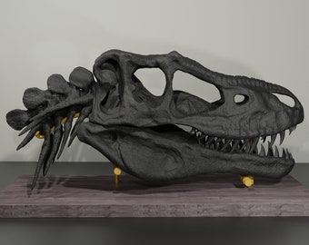 Albertosaurus-Schädel, handgefertigte Dinosaurier-Skulptur, 30 cm, 50 cm, mit vielen Details. Fossile Reproduktion