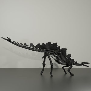 Stegosaurus-Skelett, handgefertigte Dinosaurier-Skulptur, 50 cm, mit vielen Details. Fossile Reproduktion Bild 1