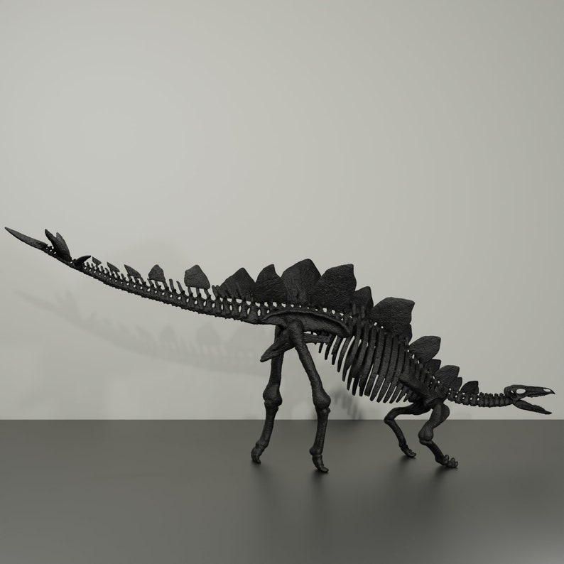 Stegosaurus-Skelett, handgefertigte Dinosaurier-Skulptur, 50 cm, mit vielen Details. Fossile Reproduktion Bild 1