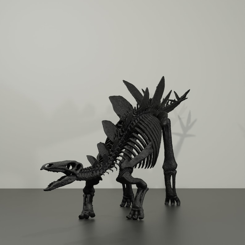 Stegosaurus-Skelett, handgefertigte Dinosaurier-Skulptur, 50 cm, mit vielen Details. Fossile Reproduktion Bild 4