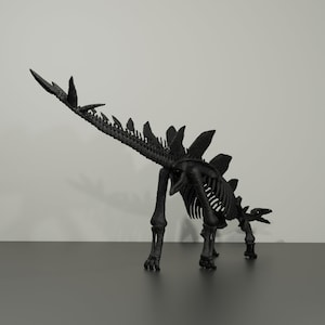 Stegosaurus-Skelett, handgefertigte Dinosaurier-Skulptur, 50 cm, mit vielen Details. Fossile Reproduktion Bild 8