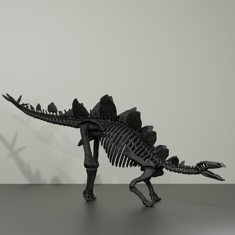 Stegosaurus-Skelett, handgefertigte Dinosaurier-Skulptur, 50 cm, mit vielen Details. Fossile Reproduktion Bild 2