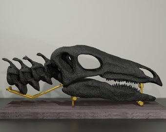 Stegosaurus-Schädel, handgefertigte Dinosaurier-Skulptur, 30 cm, 50 cm, mit vielen Details. Fossile Reproduktion
